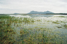 Brady Swamp 10/02/2004